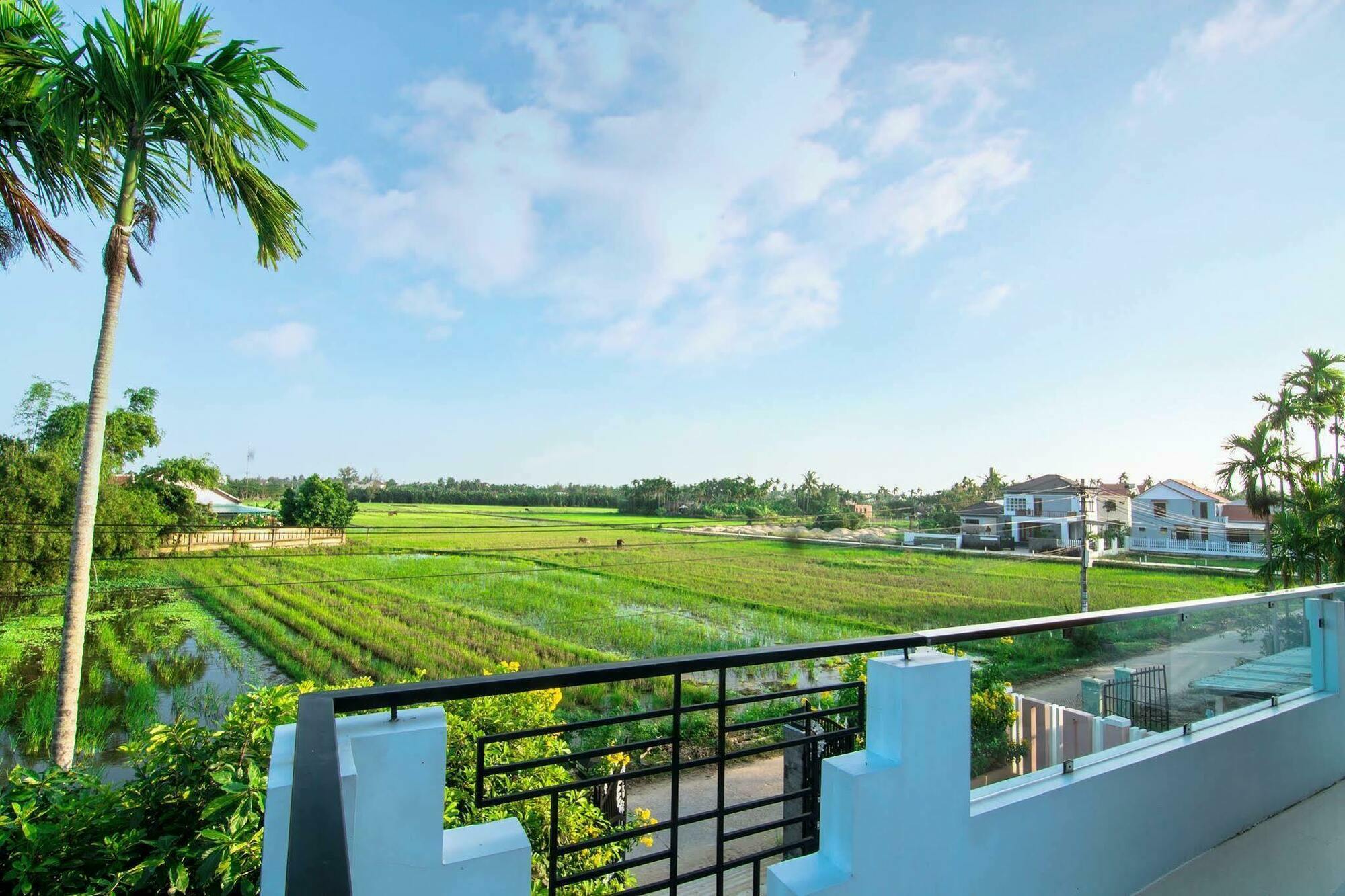 The Field Homestay Hoi An Eksteriør billede